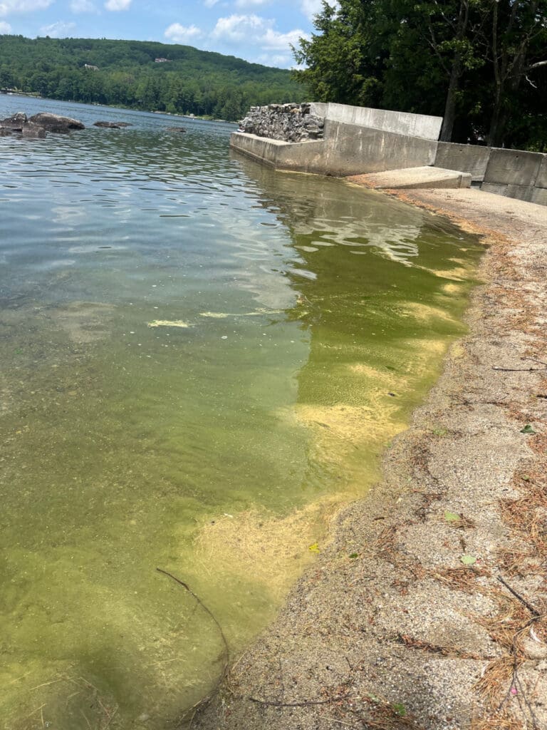 Area near Boat Launch in Elkins