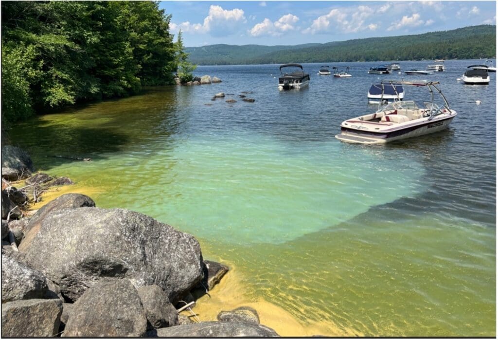 A view from a rocky shoreline of a lake with a large patch of yellow pollen and turquoise water near the shore, with several boats anchored in the background under a partly cloudy sky.